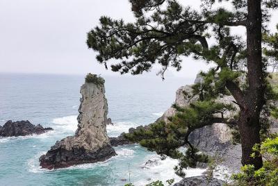 Jeju South Course - (Lunch included) Bus Tour, Full-day Tours, Da Jeju South Course - (Lunch included) Bus Tour, Full-day Tours, Da