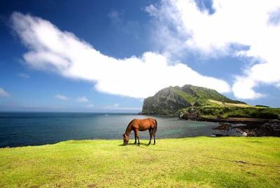 Private Full Day Tour of UNESCO Heritage Sites in East Jeju Islan Private Full Day Tour of UNESCO Heritage Sites in East Jeju Islan
