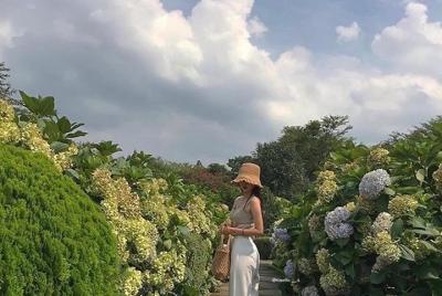 Jeju island West 1 day Bus tour (Lunch + Free Snap Photo included Jeju island West 1 day Bus tour (Lunch + Free Snap Photo included