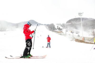 Ski Tour to Jisan Ski Resort or Yangji Ski Resort from Seoul 