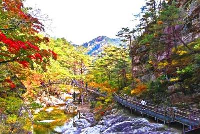 Odaesan National Park hiking day tour: Explore Autumn foliage Korea  Odaesan National Park hiking day tour: Explore Autumn foliage Korea