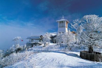 2-Day Yongpyong Ski Resort Tour from Seoul 2-Day Yongpyong Ski Resort Tour from Seoul