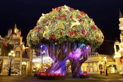 Everland Shuttle Bus Ticket Roundtrip From Seoul