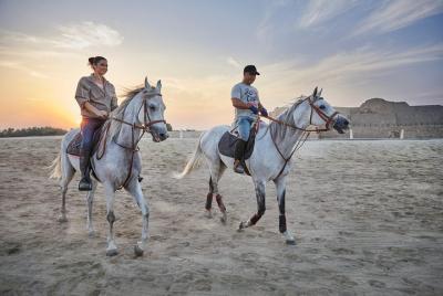 Arabian Sunset Horse Riding & Stable Tour Arabian Sunset Horse Riding & Stable Tour