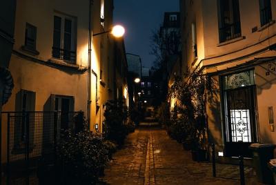 Serial Killers. The Darkest Secrets of Paris 2