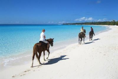 Beach Horseback Riding from Punta Cana  Beach Horseback Riding from Punta Cana