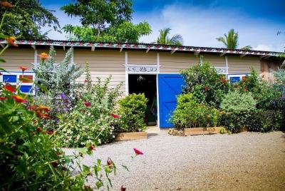 4-hr Macao Walking Tour of Local Green Market Plantation from Punta Cana