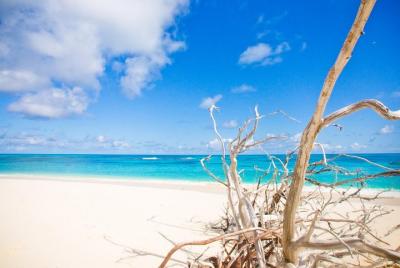 Orange and Giftun Islands Full-Day Snorkeling Trip