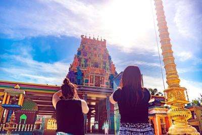 Nadi Tour Sleeping Giant, Nadi Temple, Sabeto Hotspring & Mudpool Nadi Tour Sleeping Giant, Nadi Temple, Sabeto Hotspring & Mudpool