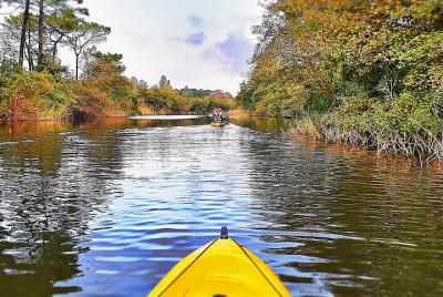 Cycling And Kayaking At Colchis National Park Cycling And Kayaking At Colchis National Park