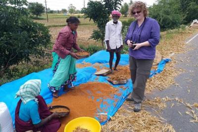 Private Tour from Bangalore to Talakadu and Somnathpur Private Tour from Bangalore to Talakadu and Somnathpur