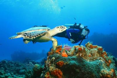7 Days Discover Nosy Be Island  7 Days Discover Nosy Be Island
