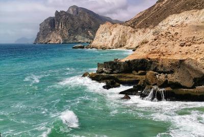 West Salalah, Al Mughsail Beach, White Beach, Frankincense Tree ( West Salalah, Al Mughsail Beach, White Beach, Frankincense Tree (