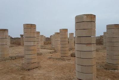 Explore Amazing Salalah City from Cruise Terminal (Half Day Group