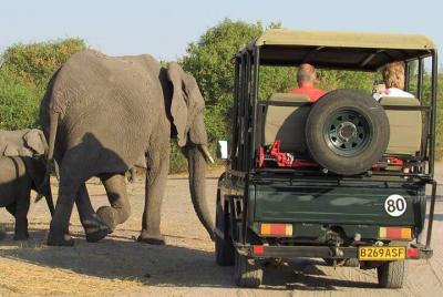 3-Day Guided Tour in Chobe Natural Park
