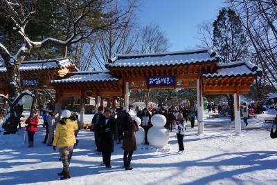 [Perfect Private Tour] Nami island, Petite France and Organic Str