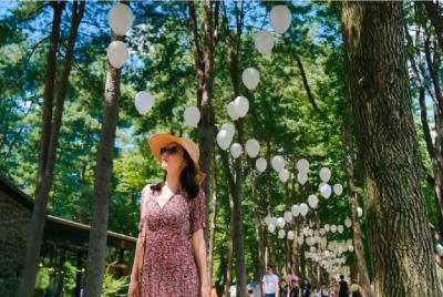 Nami Island Petit France Bus Tour Nami Island Petit France Bus Tour