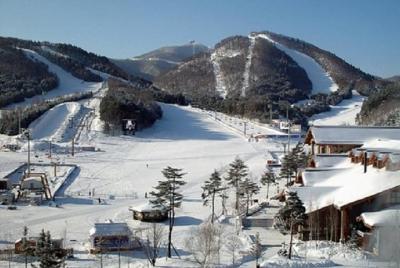 Best of the Ski Tour (Jisan Resort) Best of the Ski Tour (Jisan Resort)