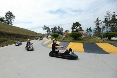 1 Day Trip with Luge Racing Car, Alpaca Farm and Fruit Picking 1 Day Trip with Luge Racing Car, Alpaca Farm and Fruit Picking