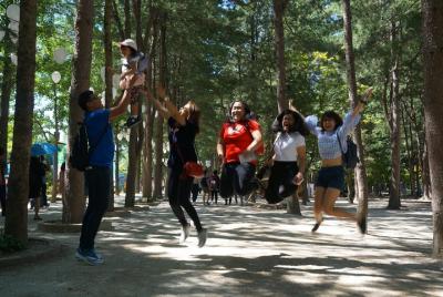 "Nami Island" & "Petite France" or "Garden of Morning Calm" ※ Pri