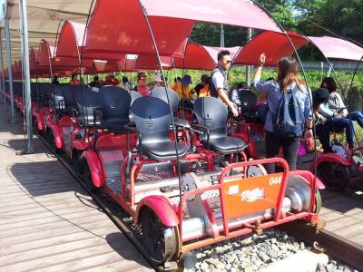 Private Tour Rail Bike & Nami Island & Petite France (More Member Private Tour Rail Bike & Nami Island & Petite France (More Member