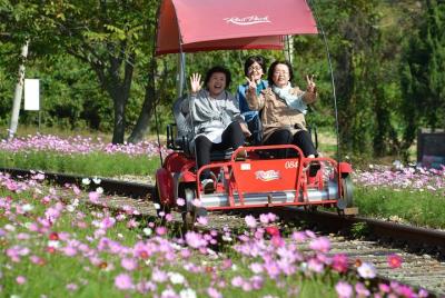 3 Day Essential Tour-Seoul City, Nami, Rail Bike, Everland(Inc. 2