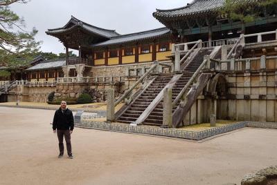 7 Day Highlight Korea Tour(Seoul, Nami, DMZ, Andong, Gyeongju, Bu 7 Day Highlight Korea Tour(Seoul, Nami, DMZ, Andong, Gyeongju, Bu