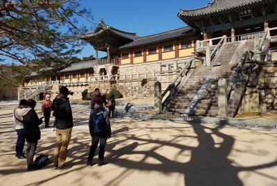 7 Day Essential Korea Tour(Seoul City tour, Nami, DMZ, Andong, Gy 7 Day Essential Korea Tour(Seoul City tour, Nami, DMZ, Andong, Gy