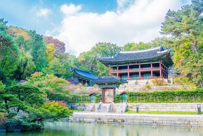 All in One Full Day Tour 1 (Two Palaces & Namdaemun Market & Insa
