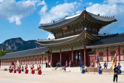 Full Day Small-Group Royal Palace and Seoul Tour