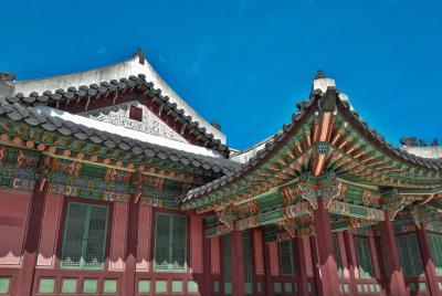 Seoul Afternoon Tour Including Changdeokgung Palace and Namdaemun Seoul Afternoon Tour Including Changdeokgung Palace and Namdaemun