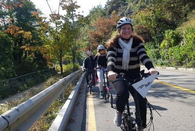 Morning E-bike Tour & Korean Lunch