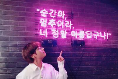 [Private] Seoul BTS Army Tour - Guide Only