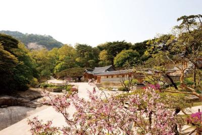My favorite private tour in Seoul My favorite private tour in Seoul