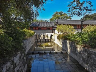 Seoul Symbolic Afternoon Tour Including Changdeokgung Palace Seoul Symbolic Afternoon Tour Including Changdeokgung Palace