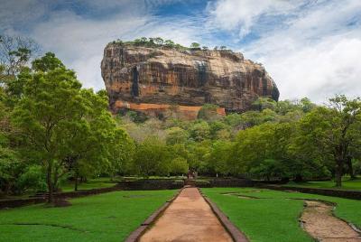 Private Day Tour to Sigiriya Rock Fortress From Habarana