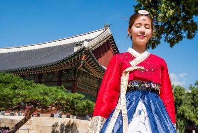 Private Airport Transfer: Seoul to Seoul Incheon International Ai Private Airport Transfer: Seoul to Seoul Incheon International Ai