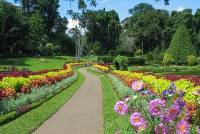 Kandy City Tour from Dambulla