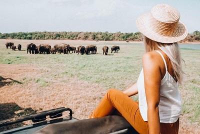 Minneriya National Park Safari from Habarana