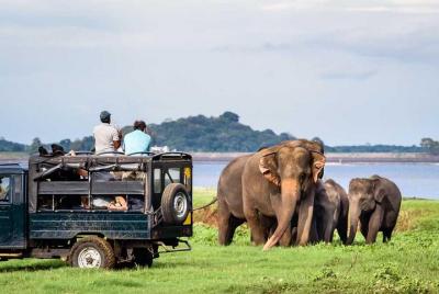Jeep Safari To One Of a National Park Where You see Lot Of Animal