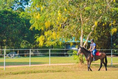 Horse Riding for Professionals in Dambulla