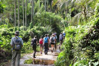 Private overnight adventure tour to knuckles and Meemure village  Private overnight adventure tour to knuckles and Meemure village