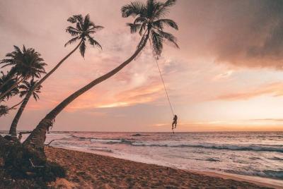 7 Nights Private Tour Of Sri Lanka