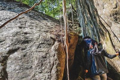 Hike to Danigala Circular Rock from Aaralaganwila Hike to Danigala Circular Rock from Aaralaganwila