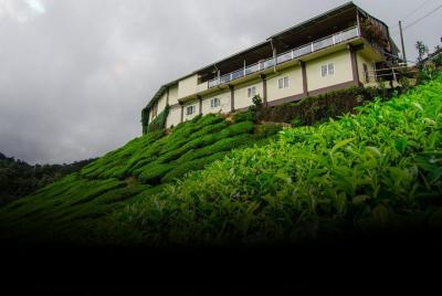 Tea Factory Tour at Elpitiya Tea Factory Tour at Elpitiya