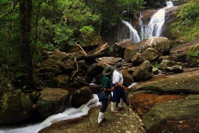 Sinharaja Rain Forest Tour Sinharaja Rain Forest Tour