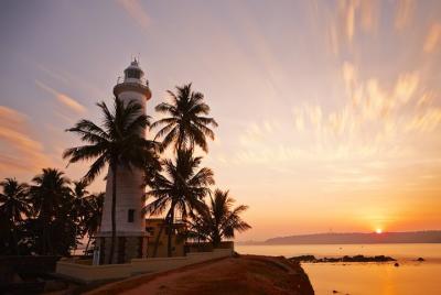 Southern Coast Highlights and River Safari from Ahungalla Southern Coast Highlights and River Safari from Ahungalla