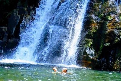 Sinharaja Rain forest tours Sinharaja Rain forest tours
