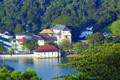All inclusive - Private & Custom Kandy tour from Bentota and Beruwela All inclusive - Private & Custom Kandy tour from Bentota and Beruwela