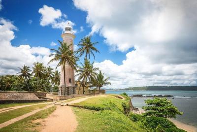 Galle Day Tour with Boat Safari & Stilt Fishermen, Sea Turtles from Bentota Galle Day Tour with Boat Safari & Stilt Fishermen, Sea Turtles from Bentota